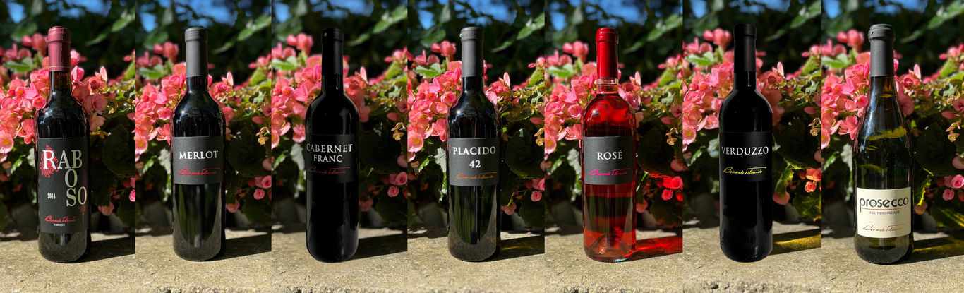 Vini Azienda Agricola Biondo Placido di Biondo Roberto